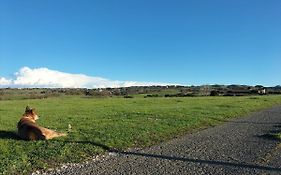 Rod Ranch Livestock - Appartamento Con Camino E Vista Piscina
